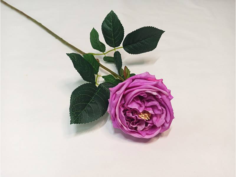 Роза чайная LUX темно-розовый