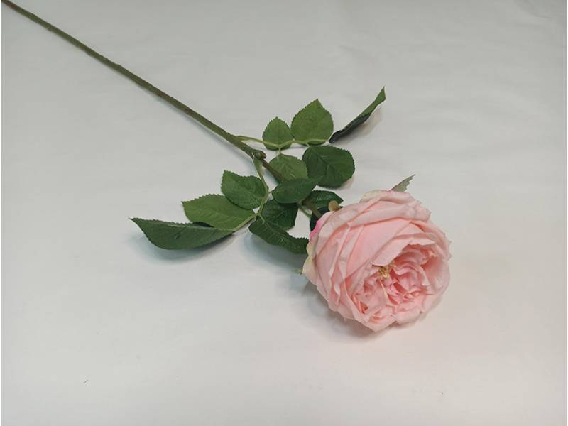 Роза чайная LUX светло-розовый