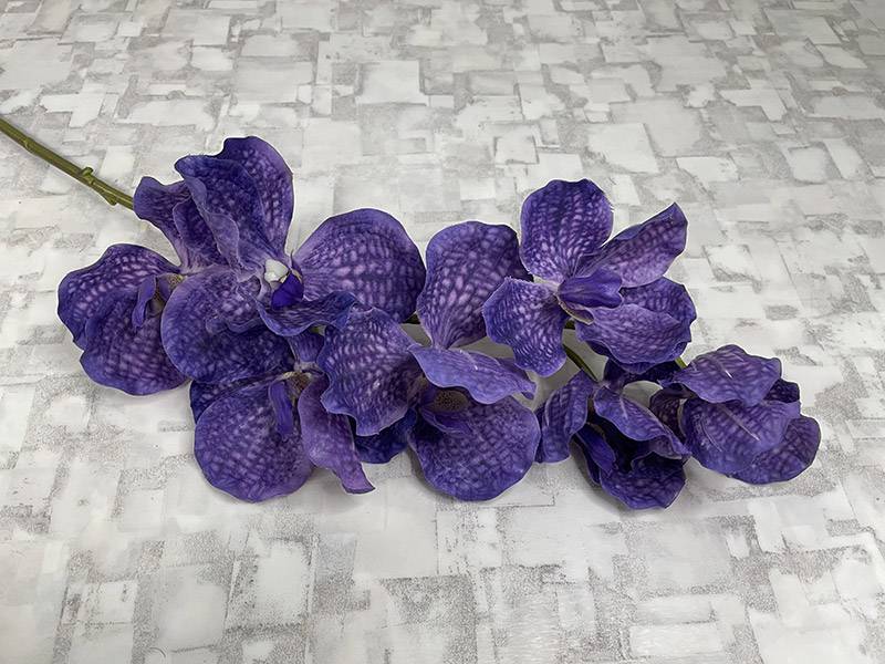 Орхидея Ванда темно-фиолетовая
