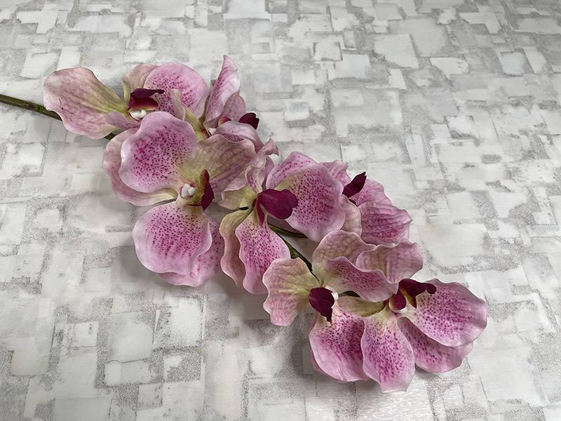 Орхидея Ванда светло-розовая