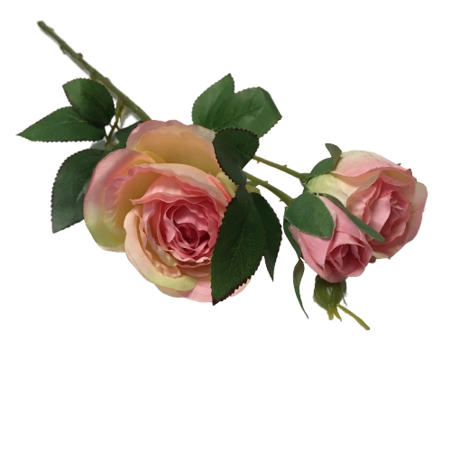 Роза кустовая нежно-розовая