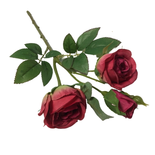 Роза кустовая бордовая