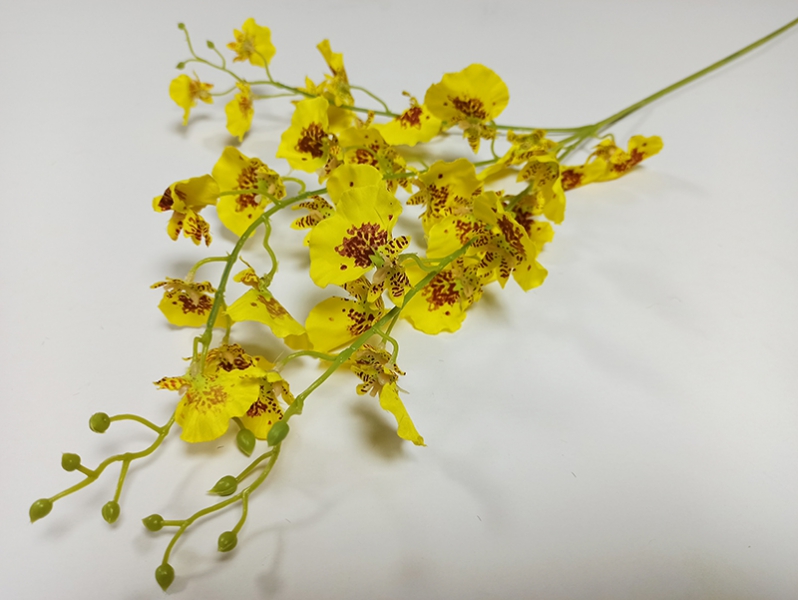 Орхидея онцидиум желтая
