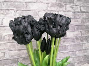 Черные тюльпаны