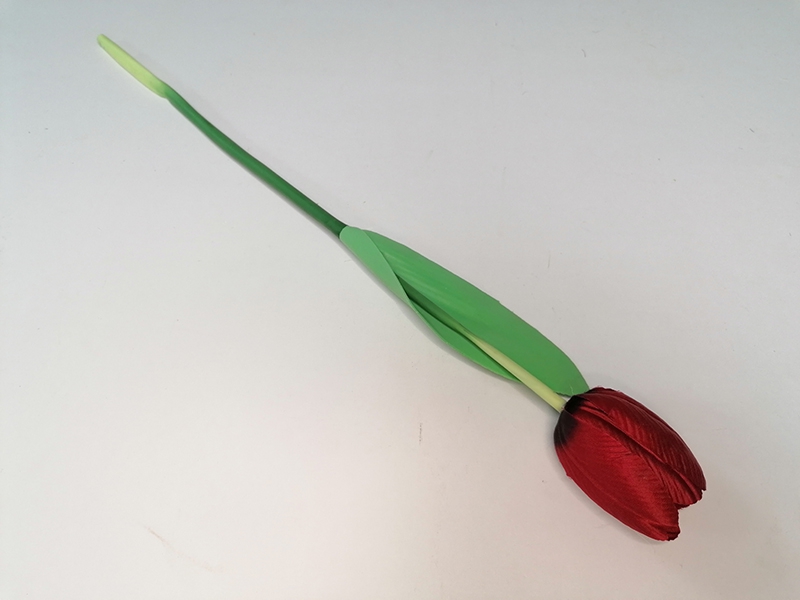 Тюльпан в ассортименте темно-красный