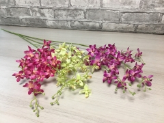 Орхидея мелкоцветная