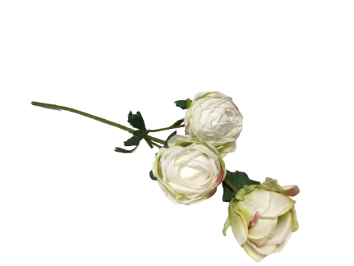 Винтажная роза белая