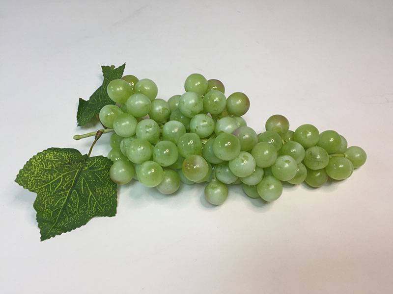 Виноград гроздь  зеленая