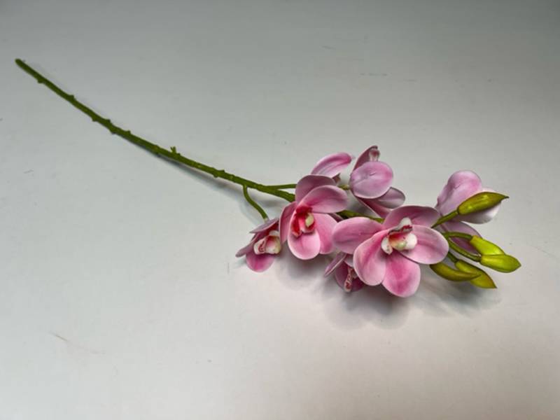 Орхидея Цимбидиум мини розовая
