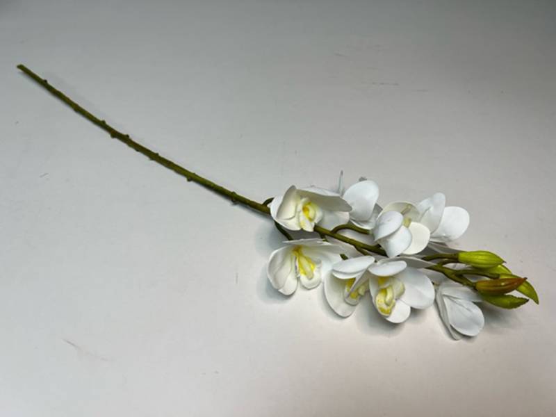 Орхидея Цимбидиум мини белая