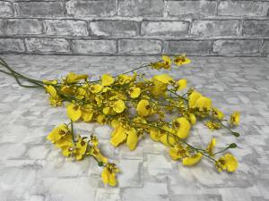Орхидея Онцидиум желтая