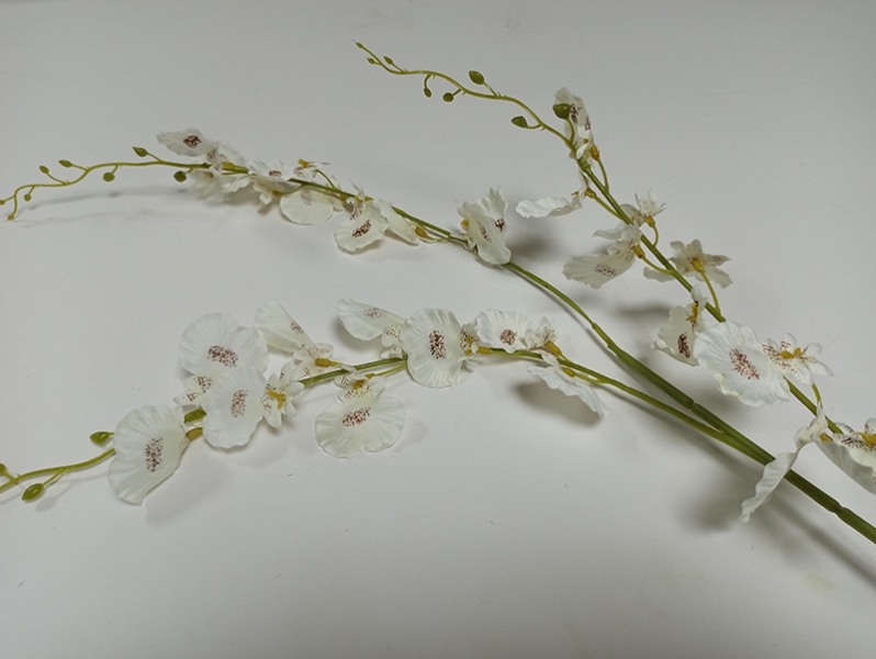 Орхидея онцидиум белая
