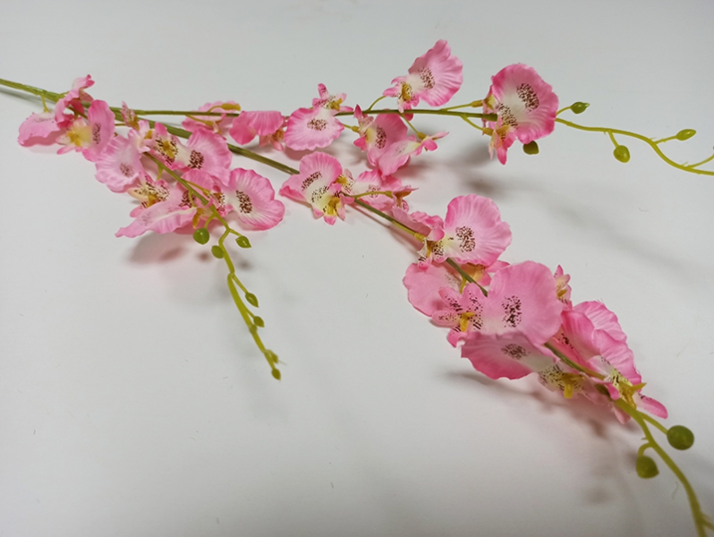 Орхидея онцидиум розовая