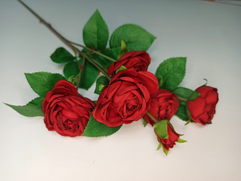 Роза кустовая красная